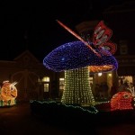 DSC_4969_thumb.jpg (Day 8: Part 2)