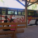 DSC_5201.jpg (Day 11: Animal Kingdom)