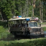 DSC_5245.jpg (Day 11: Animal Kingdom)