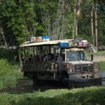 DSC_5245_thumb.jpg (Day 11: Animal Kingdom)