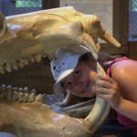 DSC_5285.jpg (Day 11: Animal Kingdom)