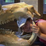 DSC_5285_thumb.jpg (Day 11: Animal Kingdom)