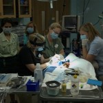 DSC_5314_thumb.jpg (Day 11: Animal Kingdom)