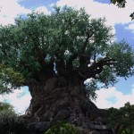 DSC_5326.jpg (Day 11: Animal Kingdom)