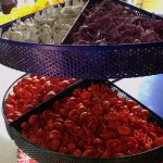 DSC_5409.jpg (Day 11: Part 2&ndash;Downtown Disney)