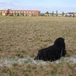 P1000243_thumb.jpg (Soccer Update)