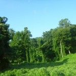 P1000279_thumb.jpg (Day 2: Kentucky to Georgia)