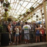 P1000302_thumb.jpg (Day 4: Universal Islands of Adventure)