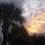 P1000339.jpg (Day 4: Universal Islands of Adventure)