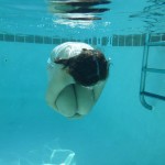 P1000368 (Day 6: Day of Rest)