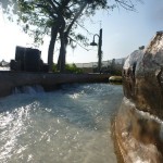 P1000392-Copy-Copy_thumb.jpg (Day 9: Typhoon Lagoon)