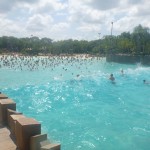 P1000440-Copy.jpg (Day 9: Typhoon Lagoon)
