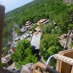 P1000494.jpg (Day 11: Animal Kingdom)