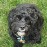 20110906_DSC_5970 (First Day of School!)