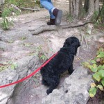 20110916_DSC_5984 (PA Day)