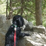 20110916_DSC_5994 (PA Day)