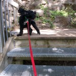 20110916_DSC_6001 (PA Day)