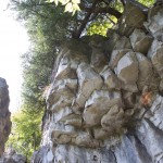 20110916_DSC_6008 (PA Day)