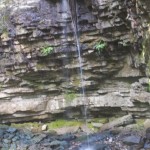 20110916_DSC_6023 (PA Day)