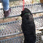 20110916_DSC_6041 (PA Day)