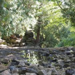 20110916_DSC_6044 (PA Day)