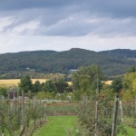 20110920_DSC_6063 (Back on the Road)