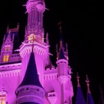 DSC_5631.jpg (Day 13: Part 3&ndash;Back Where We Started)