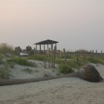 DSC_5674.jpg (Day 14: Part 2&ndash;Island Time)