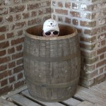 DSC_5749.jpg (Day 15: Part 2&ndash;Fort Pulaski)