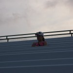 DSC_5813.jpg (Day 15: Part 3–Savannah Sand Gnats)