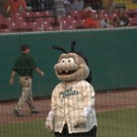 DSC_5816_thumb.jpg (Day 15: Part 3–Savannah Sand Gnats)