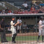 DSC_5819.jpg (Day 15: Part 3–Savannah Sand Gnats)