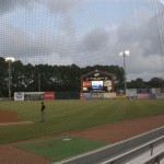 DSC_5825.jpg (Day 15: Part 3–Savannah Sand Gnats)