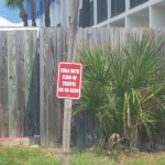 P1000647.jpg (Day 15: The Beach)