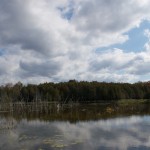 20110927_DSC_6178 (Kinghurst Forest Nature Reserve)