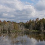 20110927_DSC_6180 (Kinghurst Forest Nature Reserve)