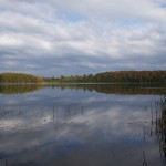 20110927_DSC_6190 (Kinghurst Forest Nature Reserve)
