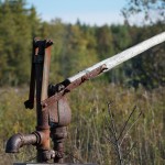 20110928_DSC_6205 (Kinghurst Forest Nature Reserve)