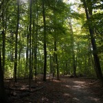 20111009_DSC_0079 (Great Thanksgiving Weekend)