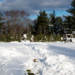 20111124_DSC_0398 – Version 2 (Timing is Everything…)