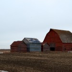 20111130_DSC_0498 – Version 2 (Timing is Everything: Part 2)