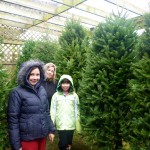 20111204_P1000768 – Version 2 (Christmas Tree)