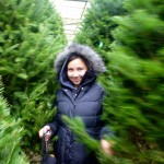 20111204_P1000770 – Version 2 (Christmas Tree)