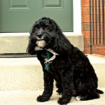 20111209_DSC_0580 – Version 2 (Chloe’s Christmas Do)