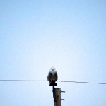 20111213_DSC_0628 – Version 2 (Wasn’t I Just There…)