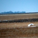 20111213_DSC_0629 – Version 2 (Wasn’t I Just There…)