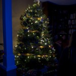 20111225_DSC_0683 (Christmas Morning)