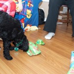 20111225_DSC_0686 (Christmas Morning)