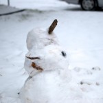 20111230_DSC_0841 – Version 2 (Finally Some Snow)