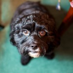 20120101_DSC_0904 – Version 2 (Happy New Year!)